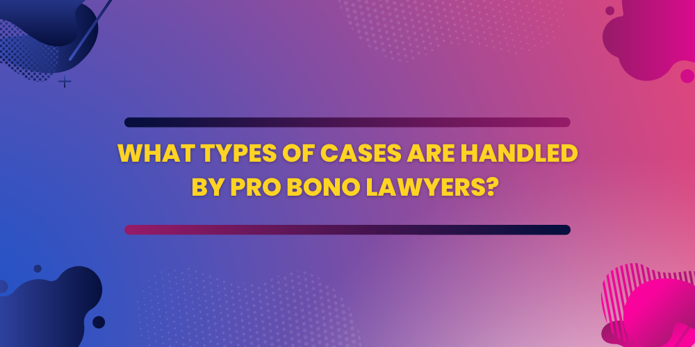 What types of cases are handled by Pro Bono lawyers?
